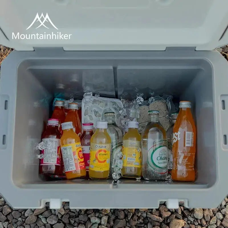 Car Insulated Refrigerator 38L  